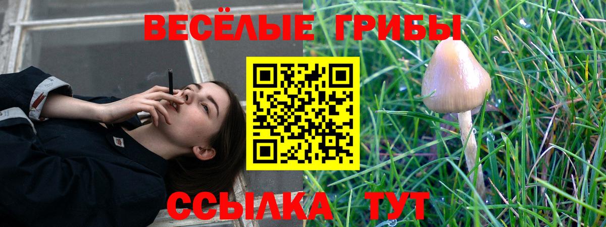 Псилоцибиновые грибы Psilocybe Качканар