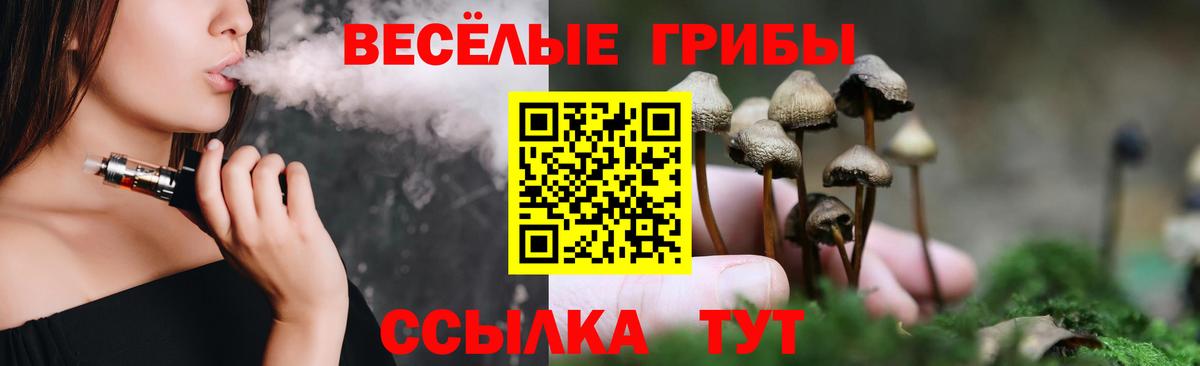 Качканар  Галлюциногенные грибы MAGIC MUSHROOMS  Вход с VPN 